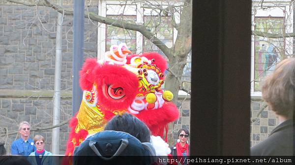 Chinese New Year - Dragon Dance Chinese New Year - Dragon Dance