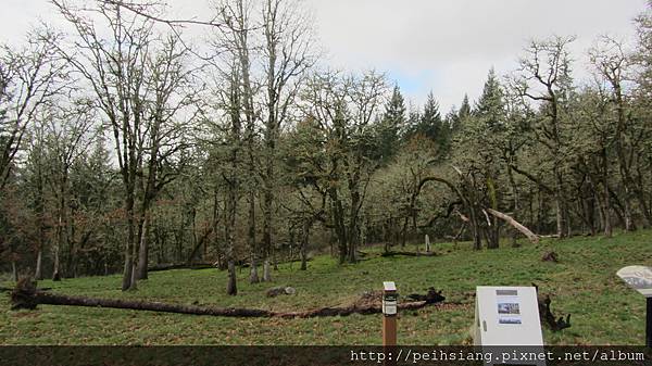 Overlooking the Tualatin River Valley, Cooper Mountain Nature Park 