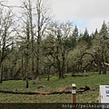 Overlooking the Tualatin River Valley, Cooper Mountain Nature Park 