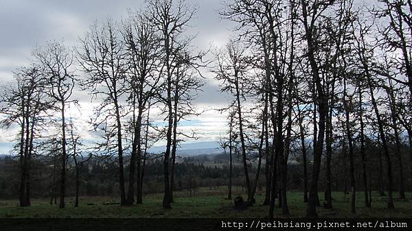 Overlooking the Tualatin River Valley, Cooper Mountain Nature Park