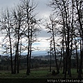 Overlooking the Tualatin River Valley, Cooper Mountain Nature Park