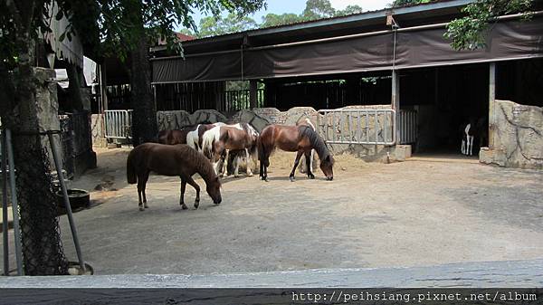 Leofoo Village Theme Park and Animal Zoo Resort