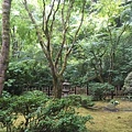 Portland Japaness Garden