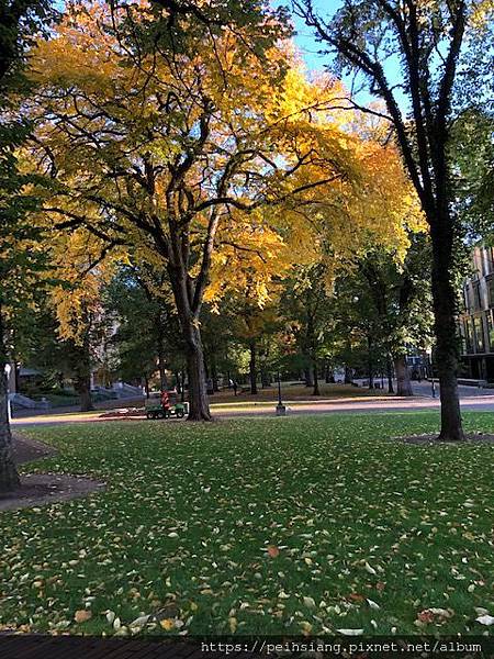 Autumn Autumn