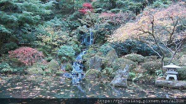 Portland Japanese garden