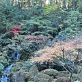 Portland Japanese garden