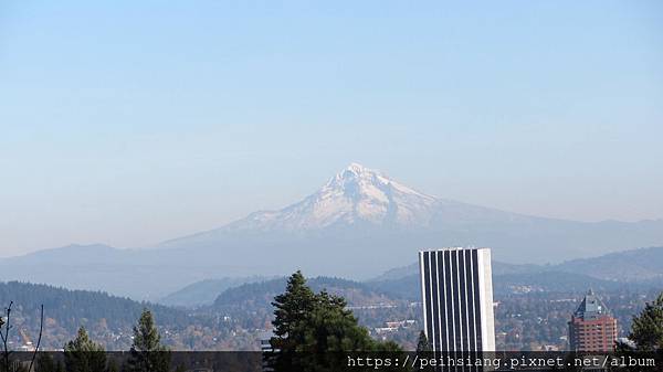 View from Portland Japanese garden