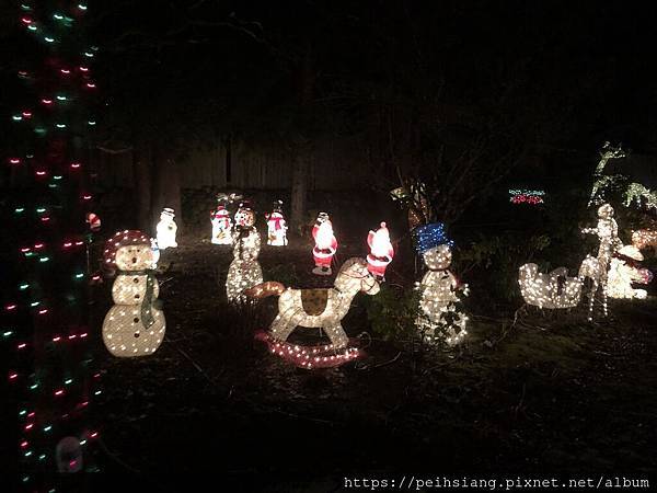 Best Christmas lights in town