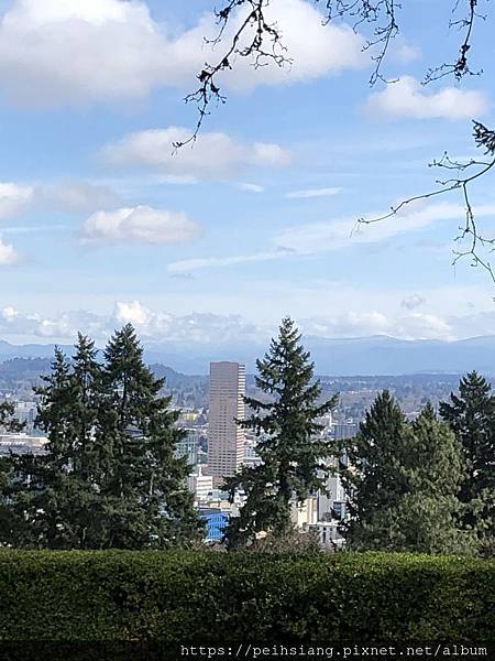 Portland Japanese garden in March