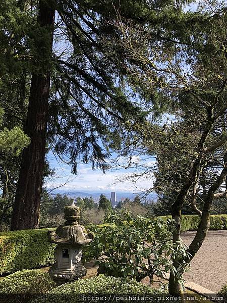 Portland Japanese garden in March