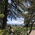 Portland Japanese garden in March