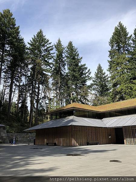 Portland Japanese garden in March