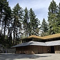 Portland Japanese garden in March