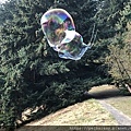 Bubble show at Mt. Tabor park