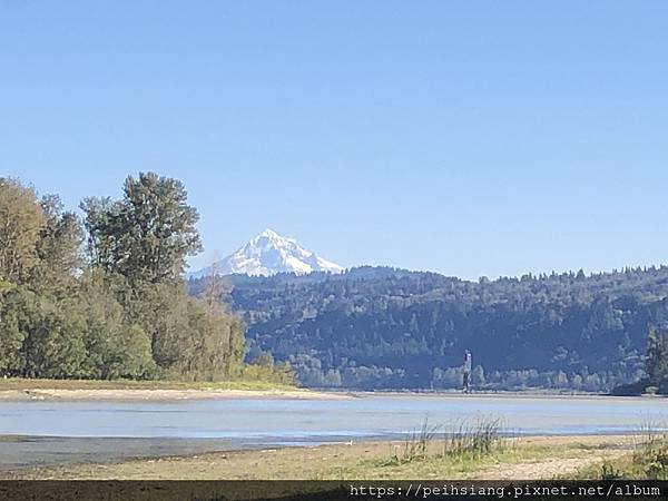 Sandy River Delta