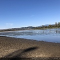 Sandy River Delta