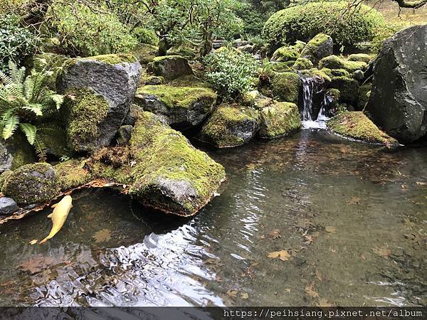 Fall color at Portland Japanese Garden