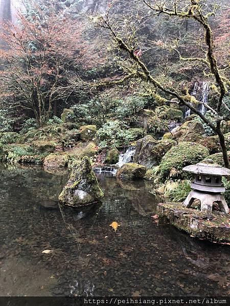 Fall color at Portland Japanese Garden