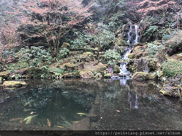 Fall color at Portland Japanese Garden