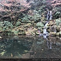 Fall color at Portland Japanese Garden