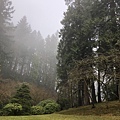 Fall color at Portland Japanese Garden