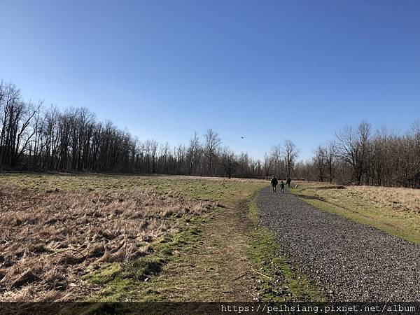 Sandy River delta