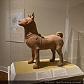 Portland Art Museum 2022 summer- Early Dog