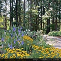 Leach Botanical Garden-Fall