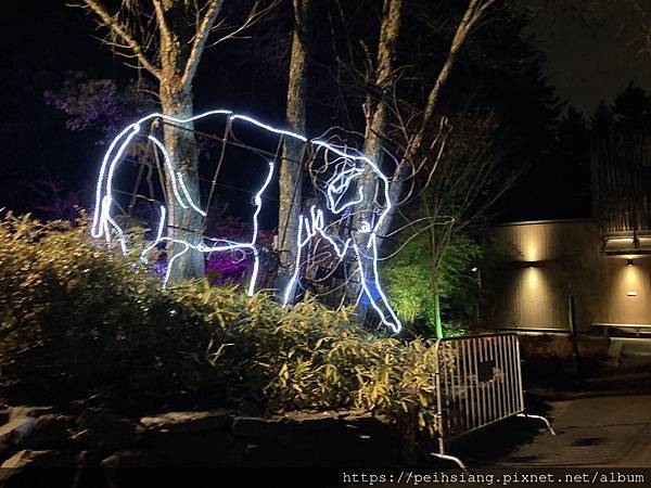Oregon Zoo lights 2022