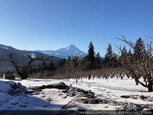 Mt. Hood is so clear in a nice day.