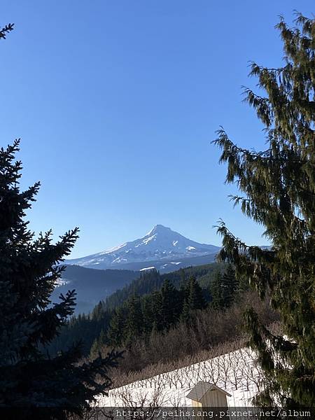 Mt. Hood is so clear in a nice day.