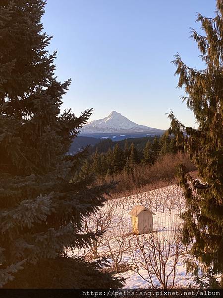 Mt. Hood is so clear when the Sun just come out.