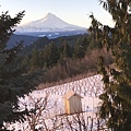 Morning sunshine made Mt. Hood so beautiful.