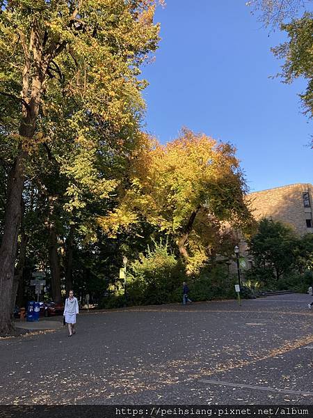 Incredible Autumnal Beauty Incredible Autumnal Beauty