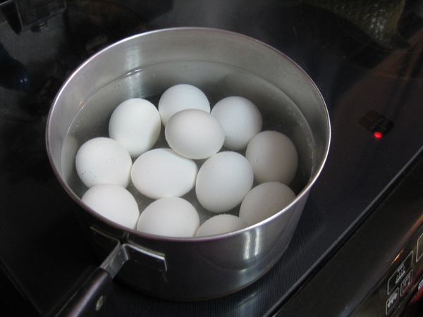 cook egg cook egg