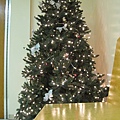 x'mas tree in shopping center.JPG