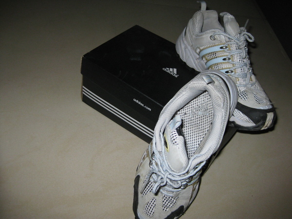 IMG_6176.JPG IMG_6176.JPG