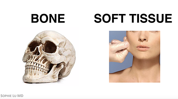 AMWC_Bone and Soft Tissue.png