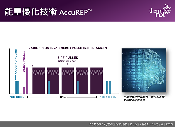 呂佩璇醫師 美國電波拉提_Thermage FLX AccuREP.png