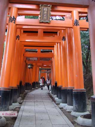 伏見稻荷神社鳥居