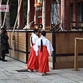 八坂神社裡的巫女