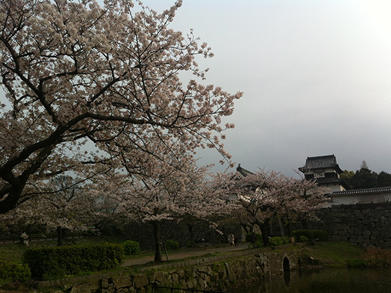 舞鶴公園