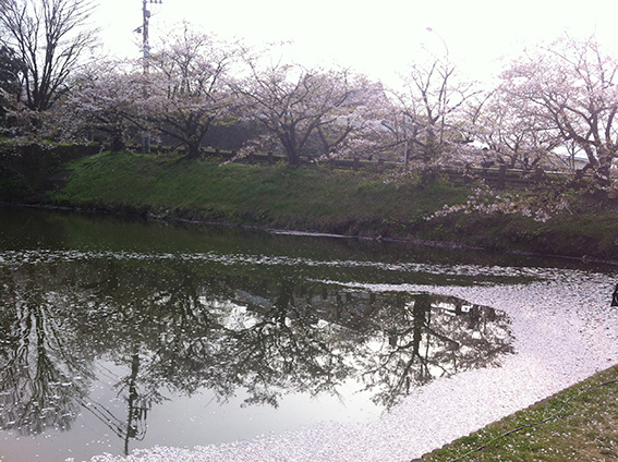 舞鶴公園