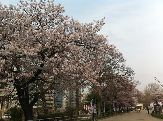 舞鶴公園