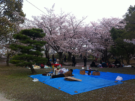 舞鶴公園