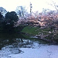 舞鶴公園