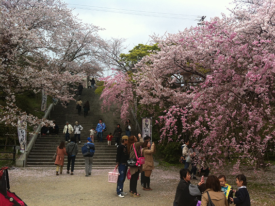 西公園