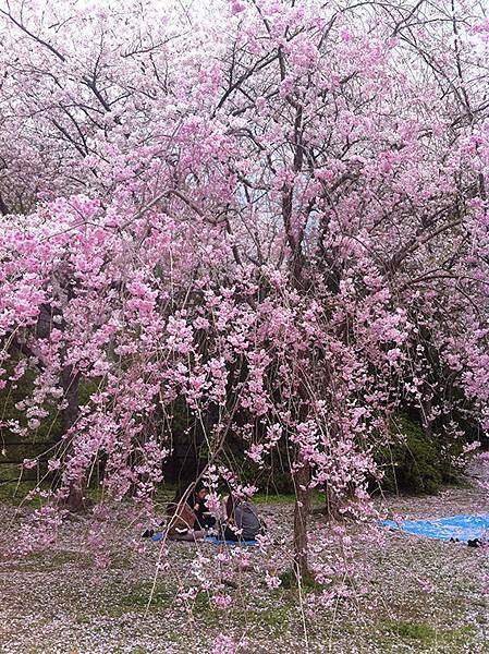 西公園