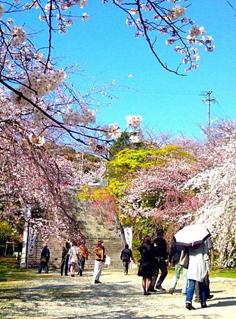 舞鶴公園