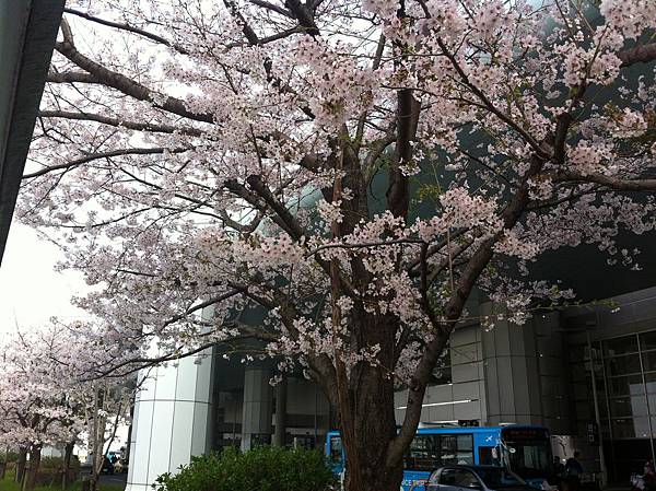 IMG_8441.JPG IMG_8441.JPG